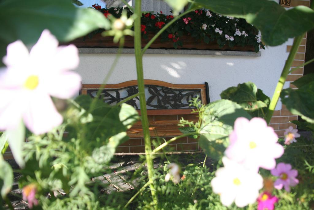 Hotel - Restaurant Berghof Berghausen (Rhein-Lahn) Exterior foto